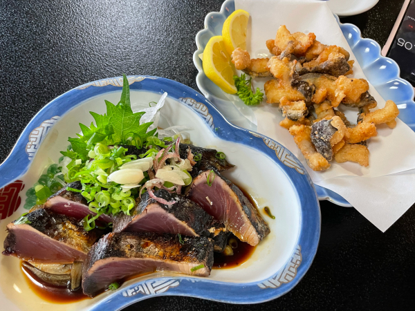 【チャリ旅47第二弾⑫:高知→室戸76キロ】高知をさらに南下!室戸岬へGO! 2021.5.22_b0002156_08104946.jpg