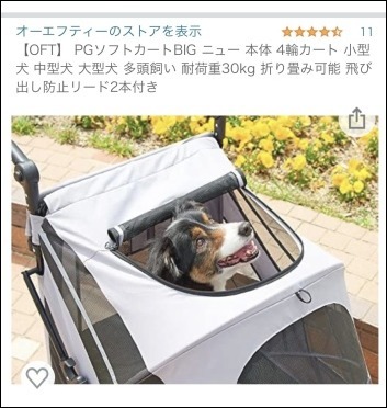 タロの愛車_b0300759_14153576.jpeg