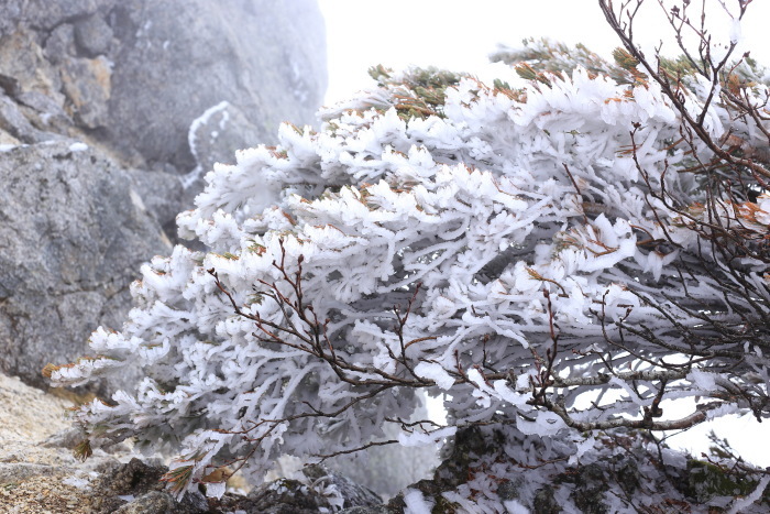 甲斐駒ヶ岳　210522-23　山頂へ（2日目前半）_e0338862_18333775.jpg