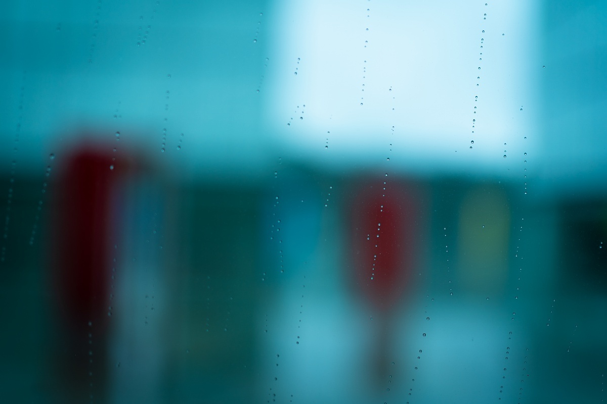 やや広めの視点で見た雨の美術館_d0353489_09064327.jpg