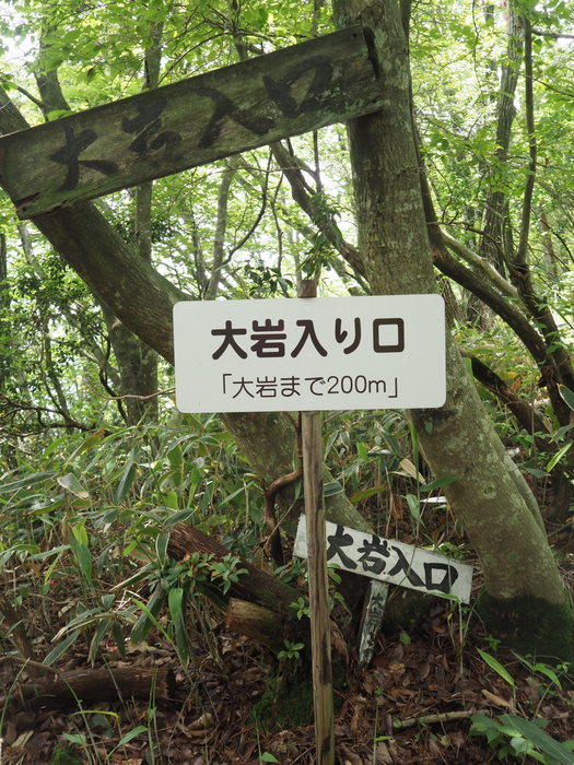 大丸峯登山_c0116915_01234329.jpg