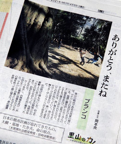 日本農業新聞・連載「里山の力」の継続が決まりました。_d0074731_15473041.jpg