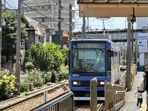 5月25日 さくらトラム_a0317236_07170858.jpeg