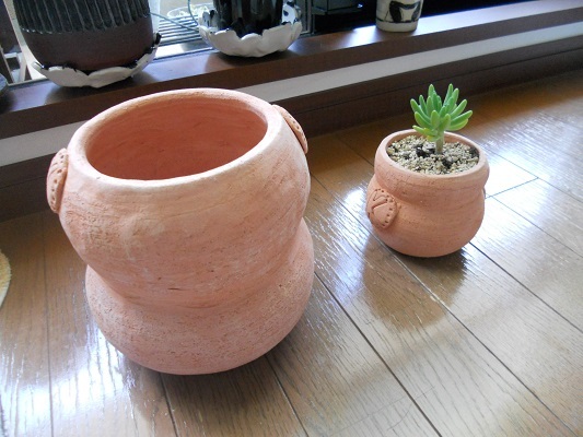 自作の植木鉢に愛情半端なく パンダ雑貨と腹立ち日記