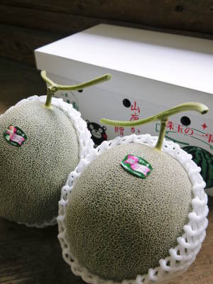 熊本産高級マスクメロン『肥後グリーン』大玉の予約受付も開始します! 大きさ、出荷日の違い?食べごろ?_a0254656_17115134.jpg