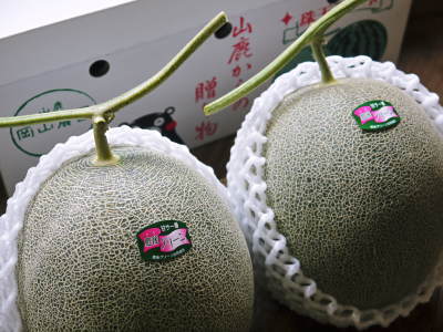 熊本県産高級マスクメロン『肥後グリーン』大好評販売中!大きさ、出荷日の違い?食べごろ?などよくある質問に答えます_a0254656_17352974.jpg