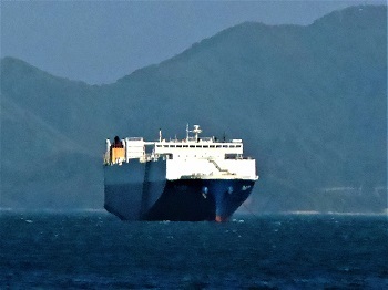 安浦・川尻沖に停泊中、自動車運搬船「フェニックス」_e0175370_10484754.jpg