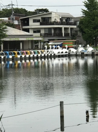 石神井公園でチェアリング　そのいち_b0193480_20042322.jpeg