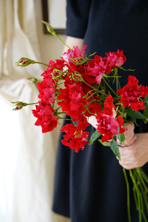 Rose アンダルシア La Fleur Rose アンダルシア La Fleur