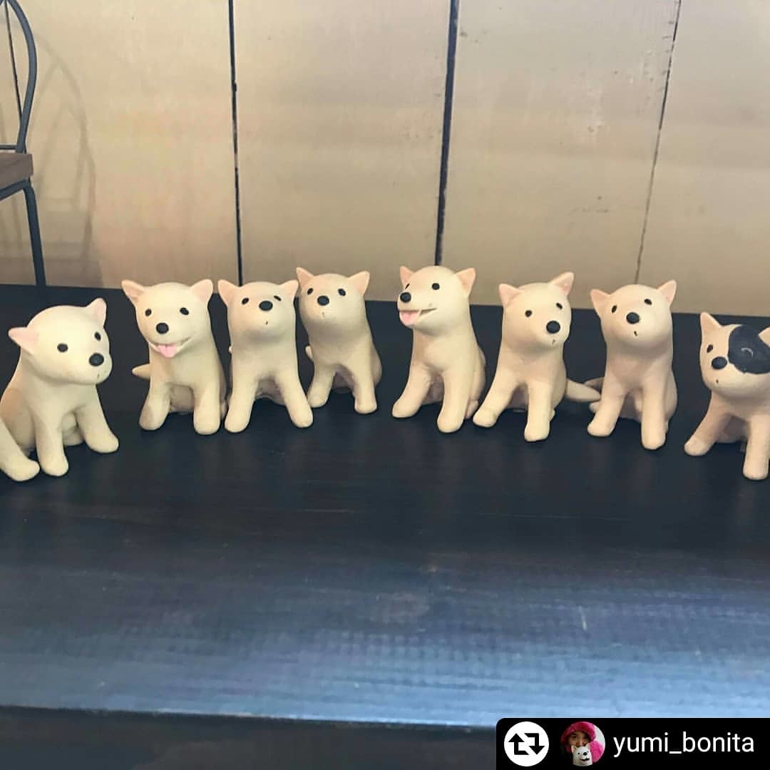 笠間焼　山口由美　犬　陶器　置物 笠間焼 山口由美 犬 陶器 置物