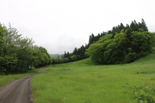 蔵王国際ホテル周辺の新緑、八重桜、躑躅＆紫陽花の代わりに紫陽花橋を撮影　２０２１．５．２７朝_c0075701_17373919.jpg