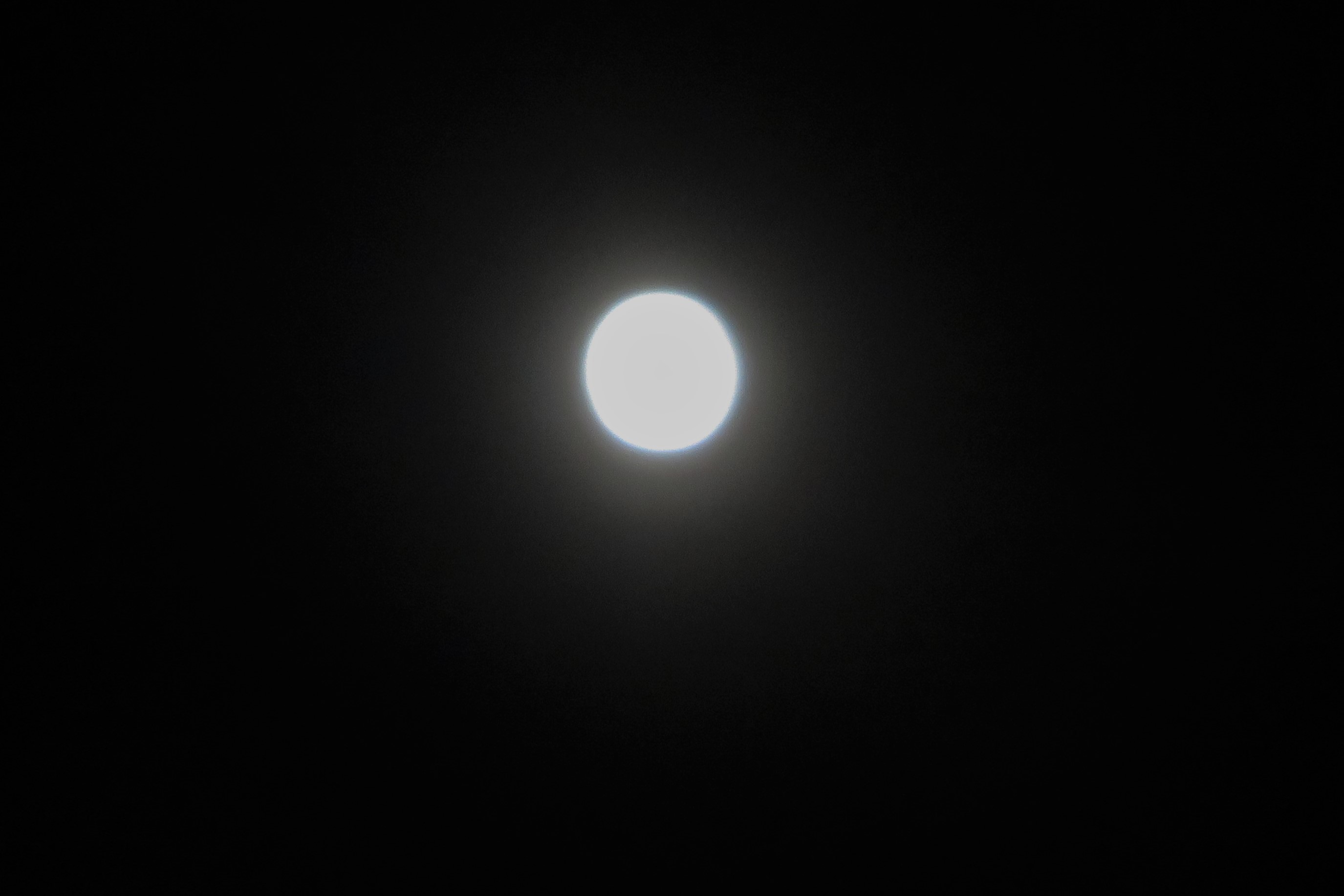 アヤメ盛りに皆既月食_a0214206_23124513.jpg