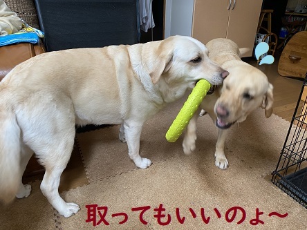 あんびん餅の田中屋。_c0182012_15355409.jpg