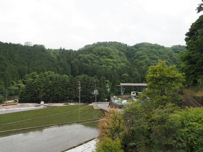 雨のち曇りのち晴れ_c0116915_23042525.jpg