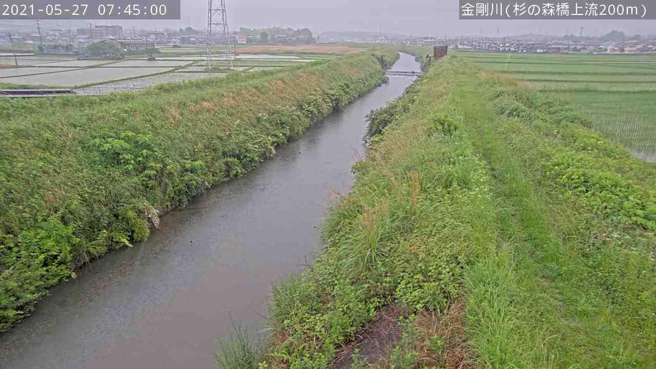  雨ふってちょっと嬉しい水たまり_c0315233_09091189.jpg