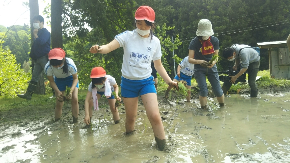 田植えについて(月光原小・西根小学校)_d0247484_16292595.jpg