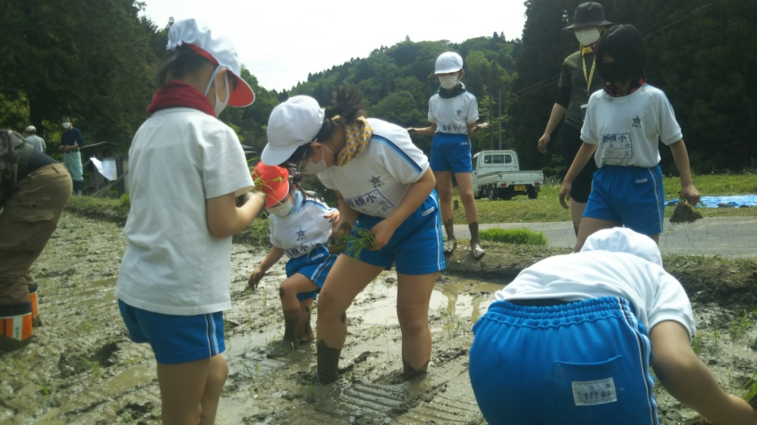 田植えについて(月光原小・西根小学校)_d0247484_16292674.jpg