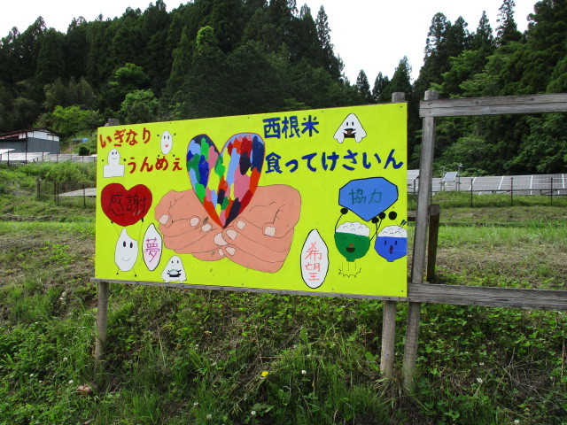 田植えについて(月光原小・西根小学校)_d0247484_16591902.jpg