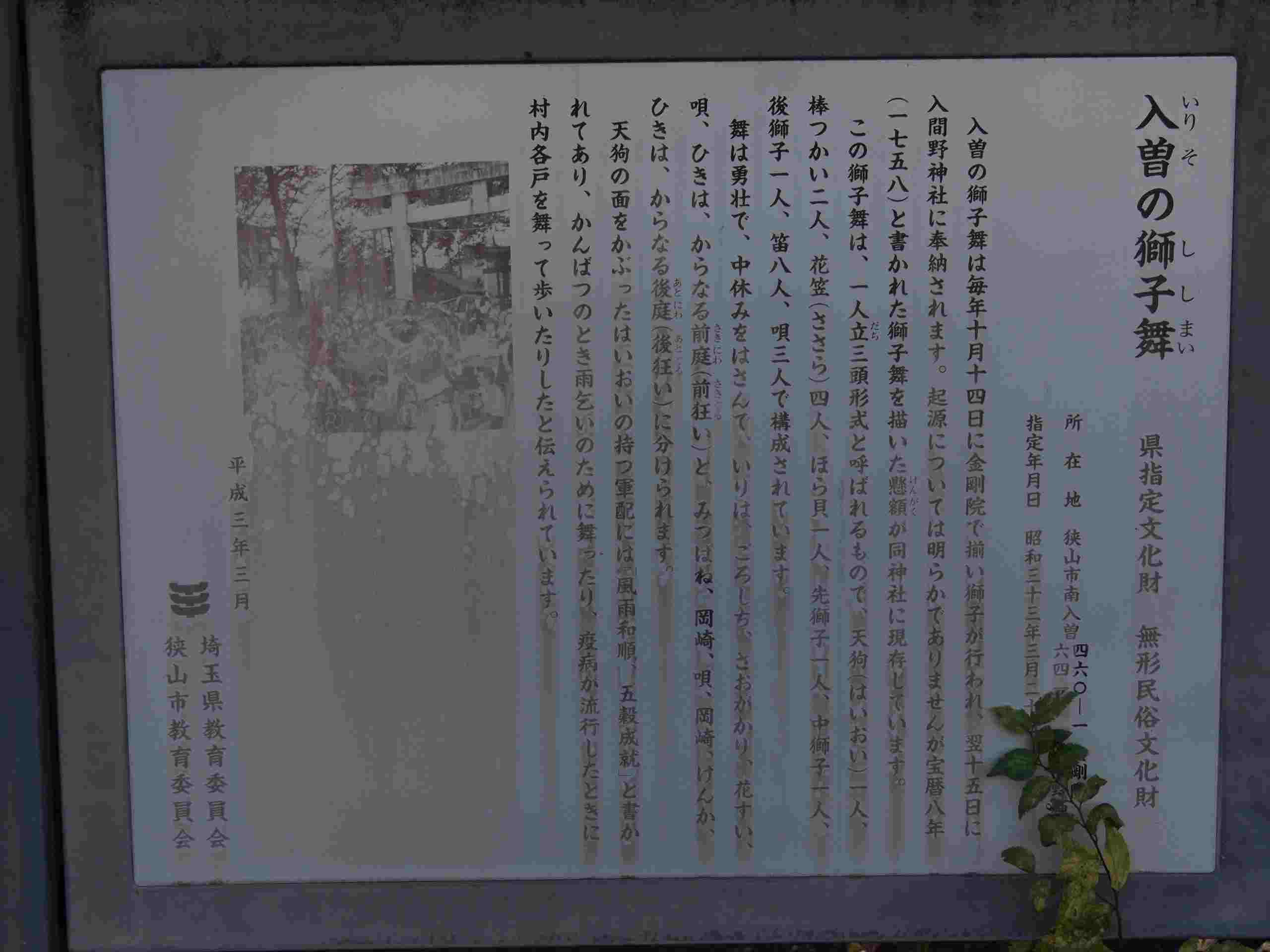 三匹獅子舞見聞録2 入曽の獅子舞2015(中編)〜入間野神社(前庭) : 散歩