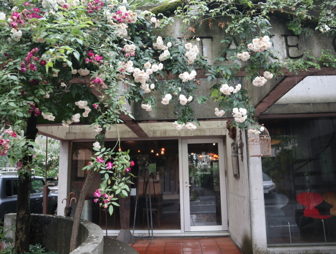 家に帰る前にちょっとお茶して帰りましょうか？_b0331802_21593851.jpg