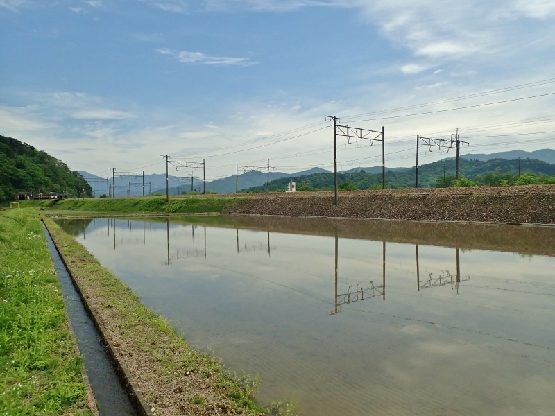 兼業農家は除草剤を散布_c0336902_18504462.jpg