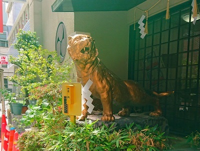 少彦名神社に参拝(花木)_f0354314_16094917.jpg