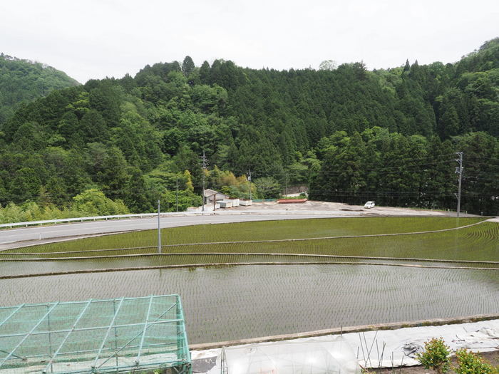 晴れ時に曇り_c0116915_23433770.jpg