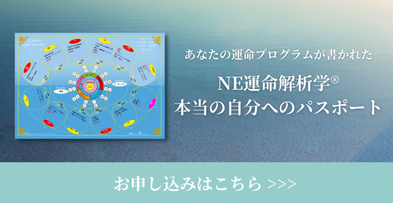 自分の運命プログラムを知る「NE運命解析学」_c0025422_11363340.png