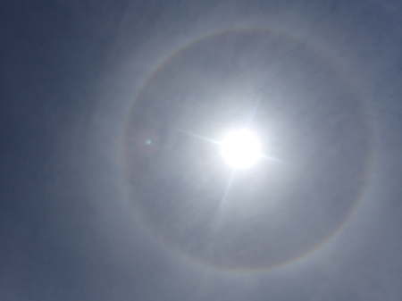 2021年5月下旬 埼玉県北部久喜市 拙宅周辺の虫たち_c0353632_07350806.jpg