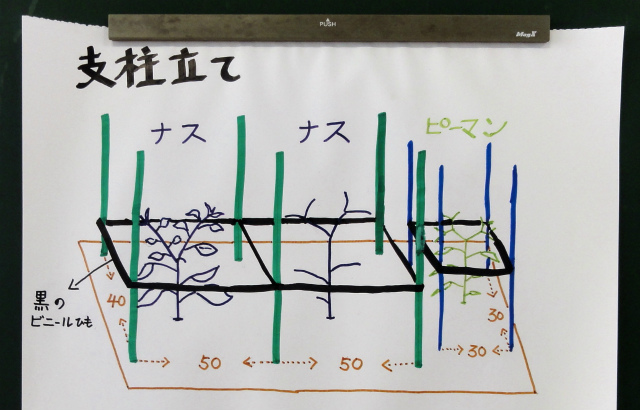 追肥と間引きと消毒と..._d0111439_19285482.jpg