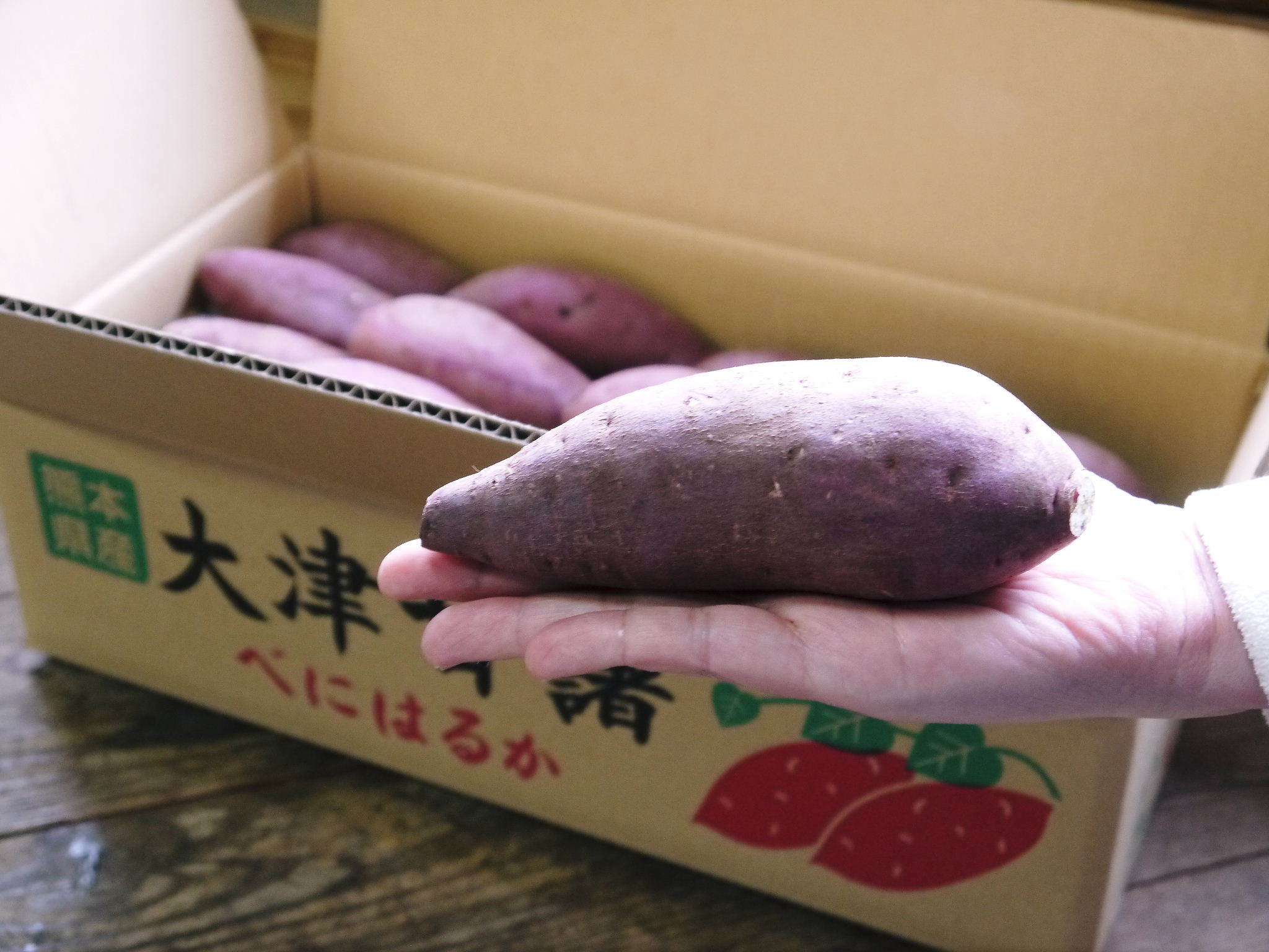 熟成サツマイモ(からいも)令和6年の最終出荷は6月下旬!数量限定販売中!次の収穫へ向け植え付け作業も終了しました!(前編)_a0254656_17490402.jpg