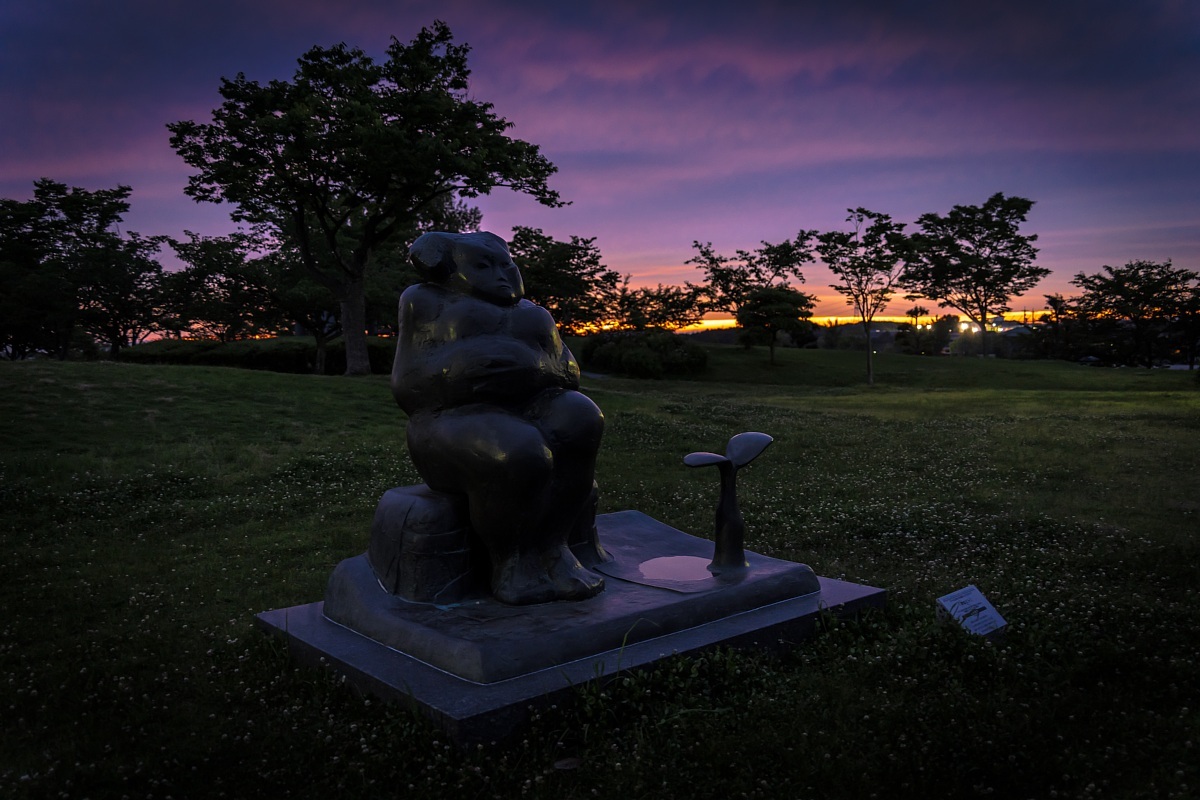 シロツメクサが咲く黄昏の公園_d0353489_23581528.jpg