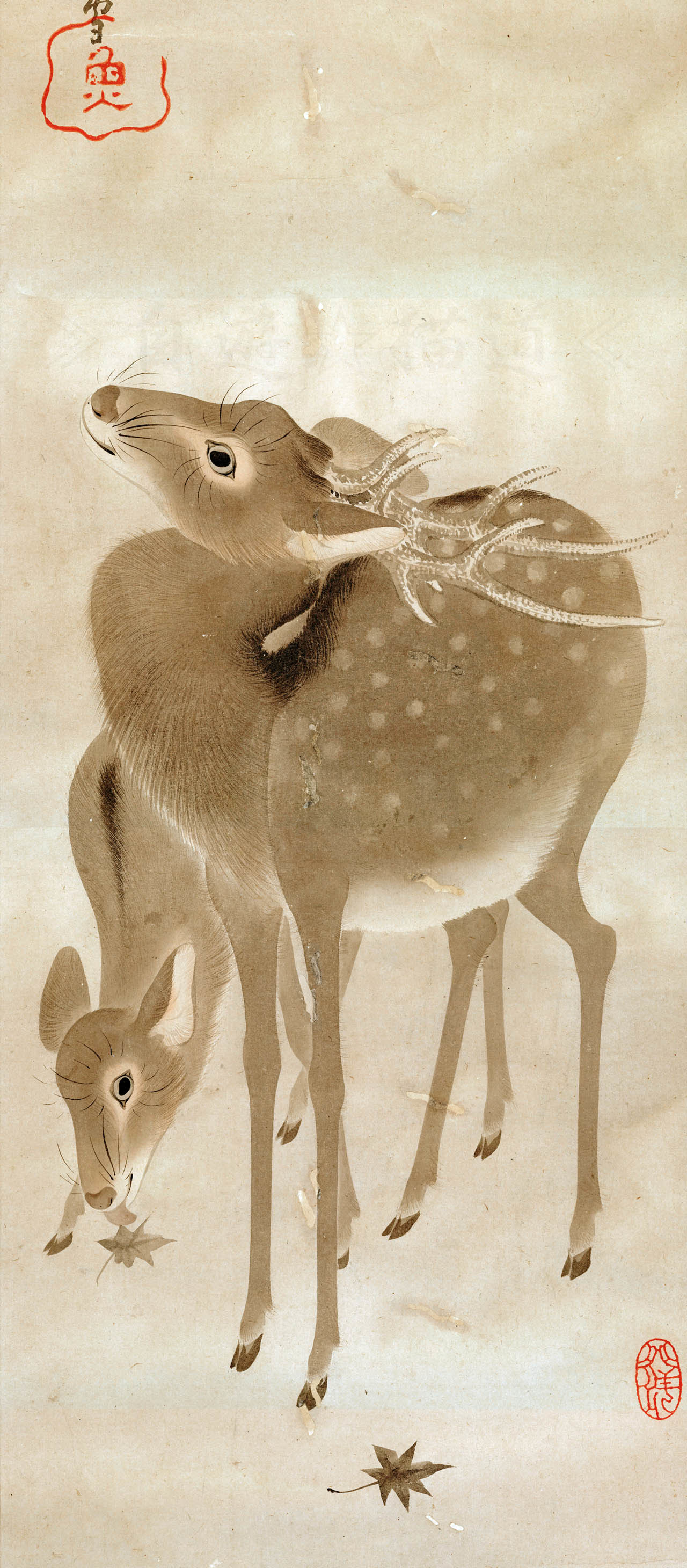 Cb タイト Tr ラップ風 Label タイト ラップ風 スカート Relaxing グリーンレーベルリラクシング のファッション スカート スカート Green