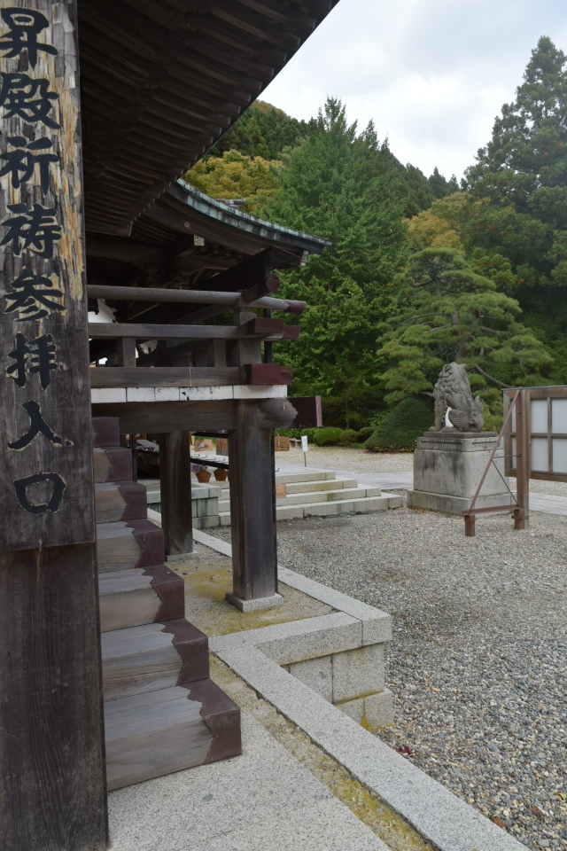 函館市谷地頭町の函館八幡宮(函館の建築再見2021)_f0142606_10460400.jpg