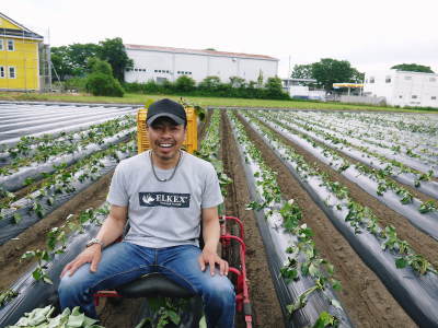 熟成サツマイモ(からいも)令和6年の最終出荷は6月下旬!数量限定販売中!次の収穫へ向け植え付け作業も終了しました!(後編)_a0254656_18464956.jpg