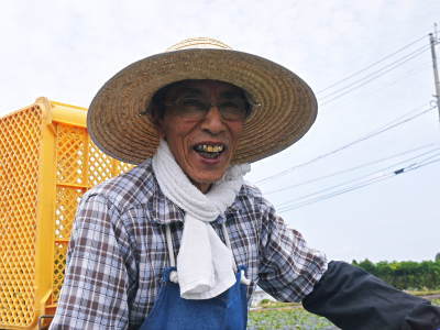 熟成サツマイモ(からいも)令和6年の最終出荷は6月下旬!数量限定販売中!次の収穫へ向け植え付け作業も終了しました!(後編)_a0254656_19015259.jpg