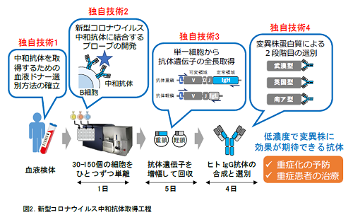 コロナ中和抗体　広島大学　検索_a0117168_15265573.png