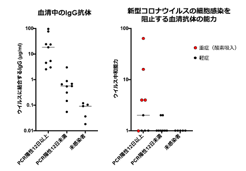 コロナ中和抗体　広島大学　検索_a0117168_15272775.png