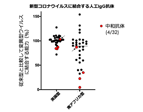 コロナ中和抗体　広島大学　検索_a0117168_15275570.png
