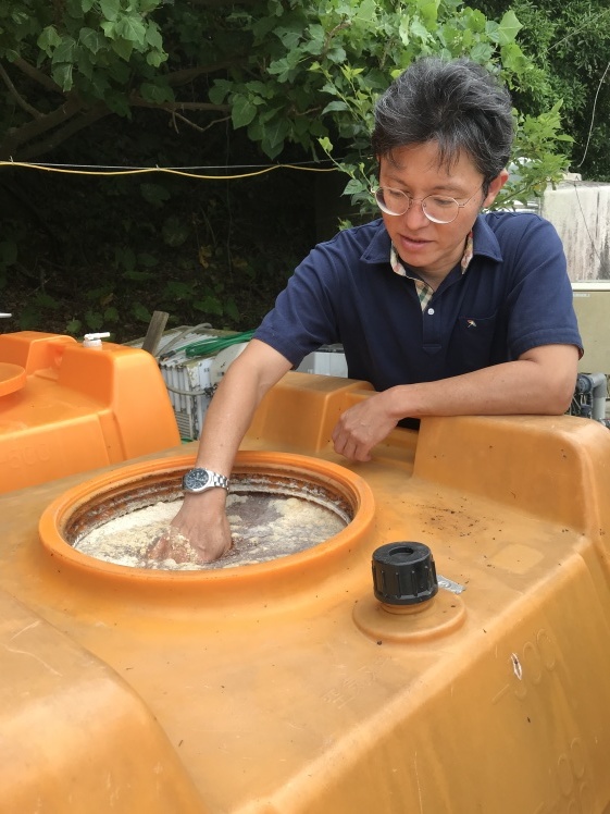 沖縄 サンシャインファーム_b0034072_14341483.jpg