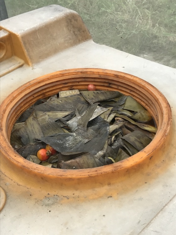 沖縄 サンシャインファーム_b0034072_14363043.jpg