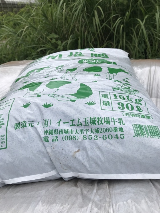 沖縄 サンシャインファーム_b0034072_14390976.jpg