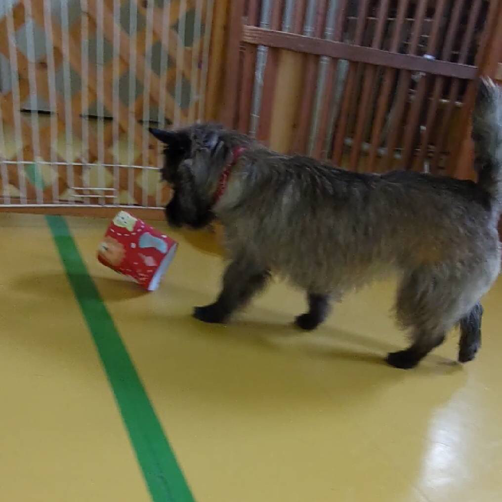 おやつ探し😋_f0357682_01272397.jpg