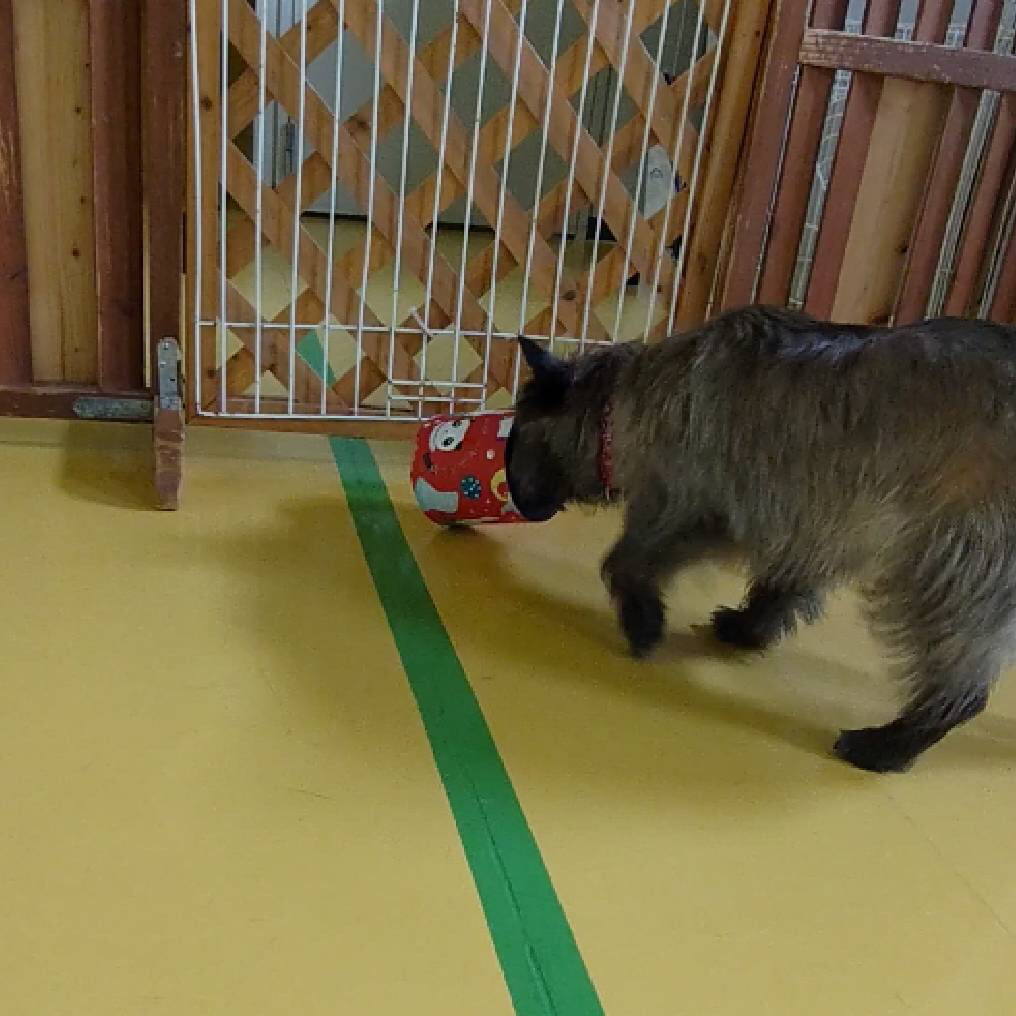 おやつ探し😋_f0357682_01275554.jpg