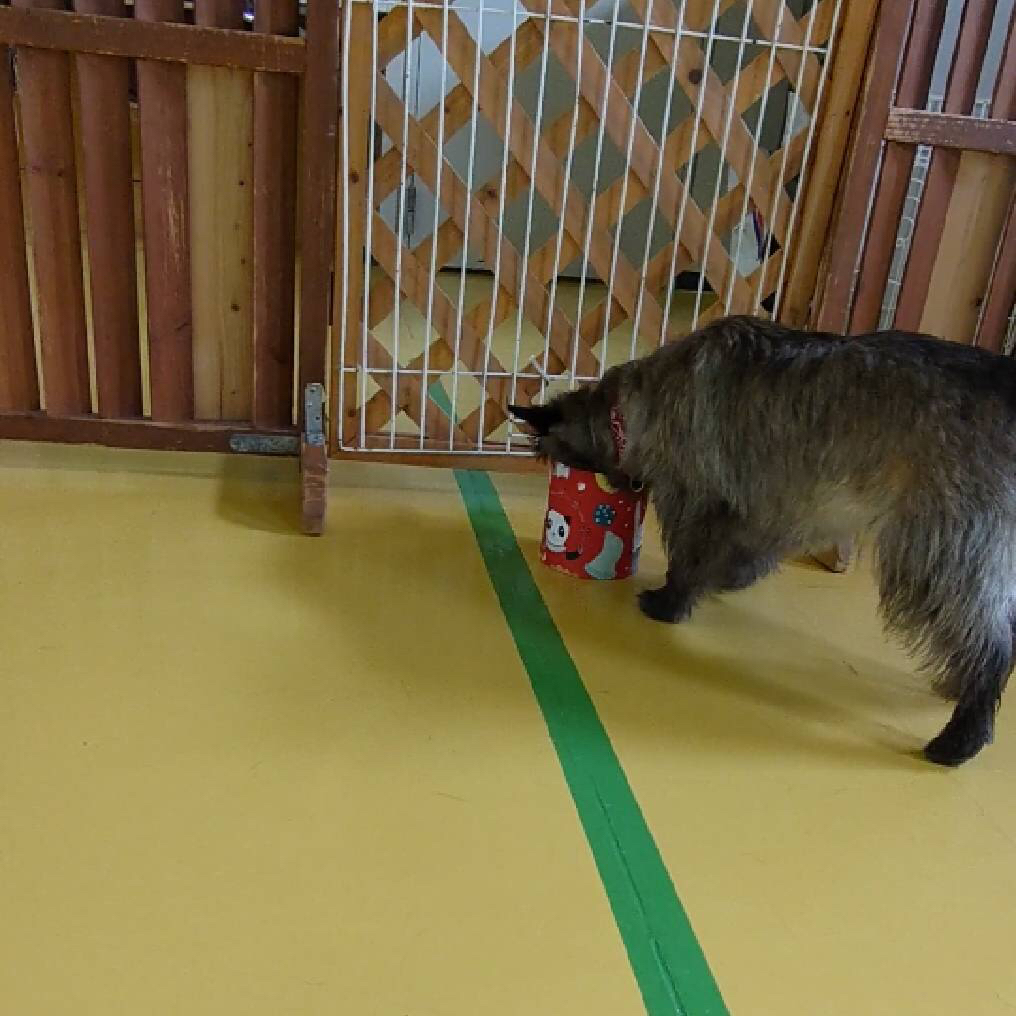 おやつ探し😋_f0357682_01280772.jpg