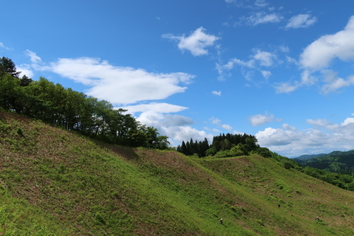 小滝わらび園へ写真を撮りに、わらびを採りに　２０２１．５．３０_c0075701_14084447.jpg