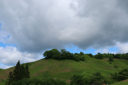 小滝わらび園へ写真を撮りに、わらびを採りに　２０２１．５．３０_c0075701_14090064.jpg