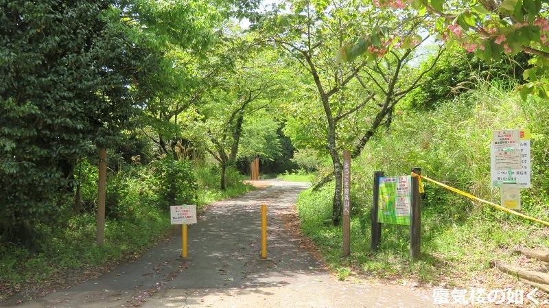 「ゆるキャン△S2」舞台探訪16 一人のキャンプ その3/3 なでしこ野田健康緑地公園キャンプ場(第8話)_e0304702_17060504.jpg