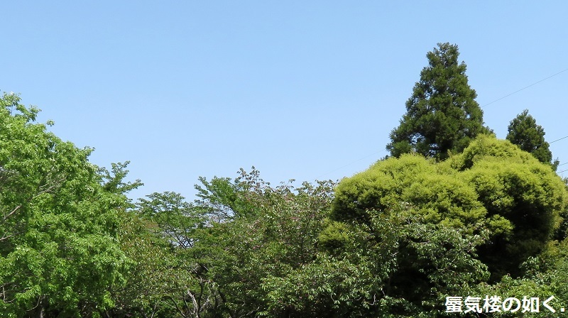 「ゆるキャン△S2」舞台探訪16 一人のキャンプ その3/3 なでしこ野田健康緑地公園キャンプ場(第8話)_e0304702_20222164.jpg