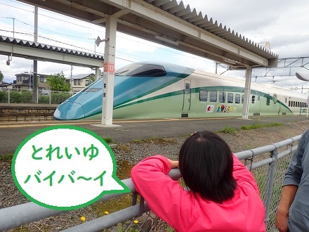 ちょうど良い日曜日。_c0182012_14260662.jpg